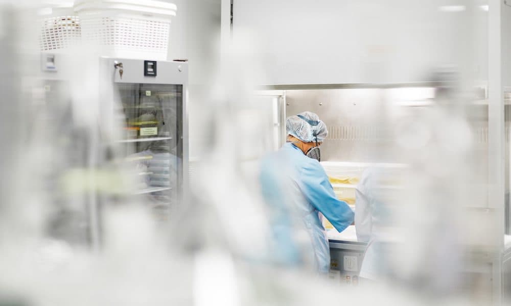 Researchers fine tune new thermoplastic biomaterial