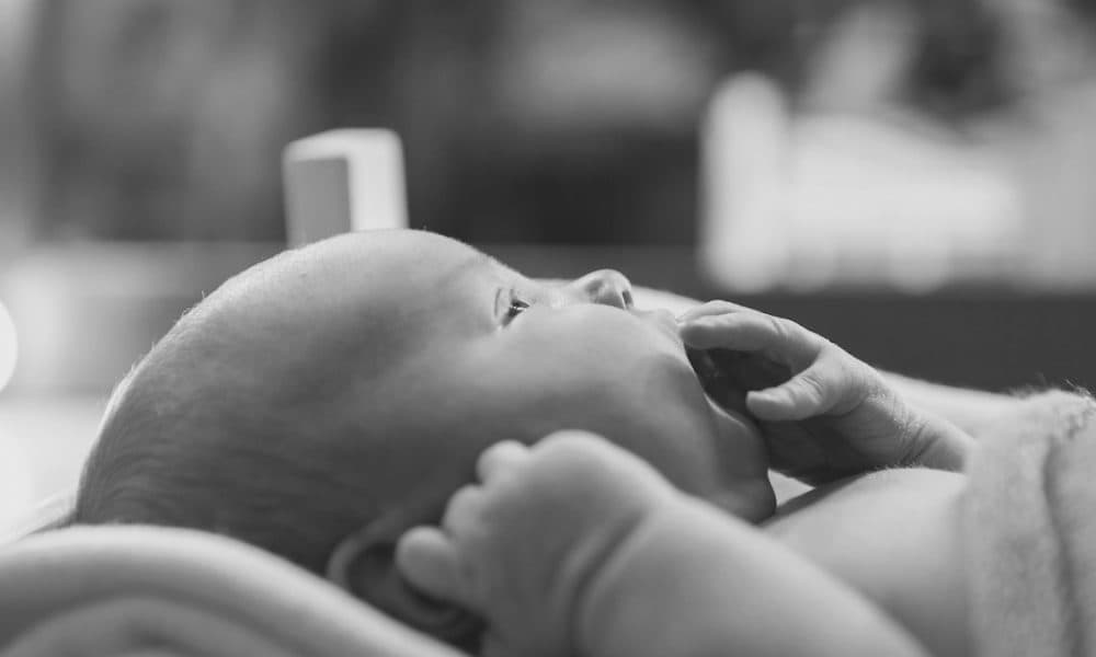Pandemic impact on IVF families