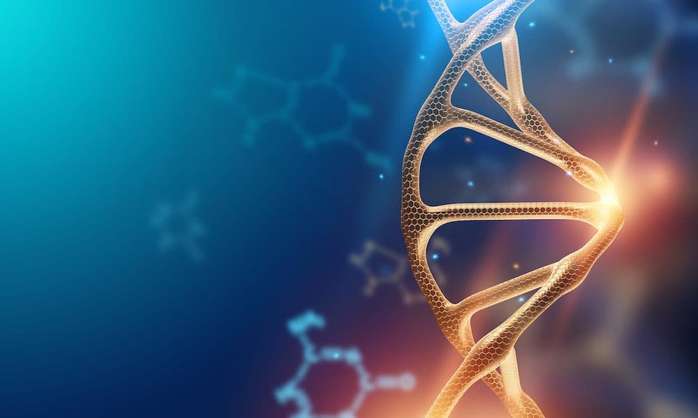 Scientists create atlas of human genome variants