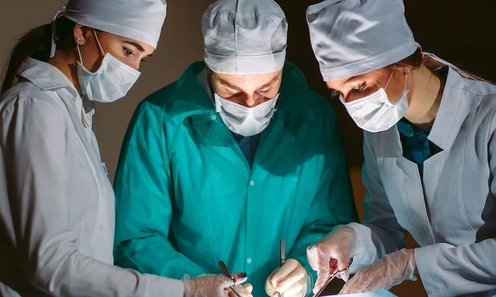 How “humanised” mouse model could advance transplants