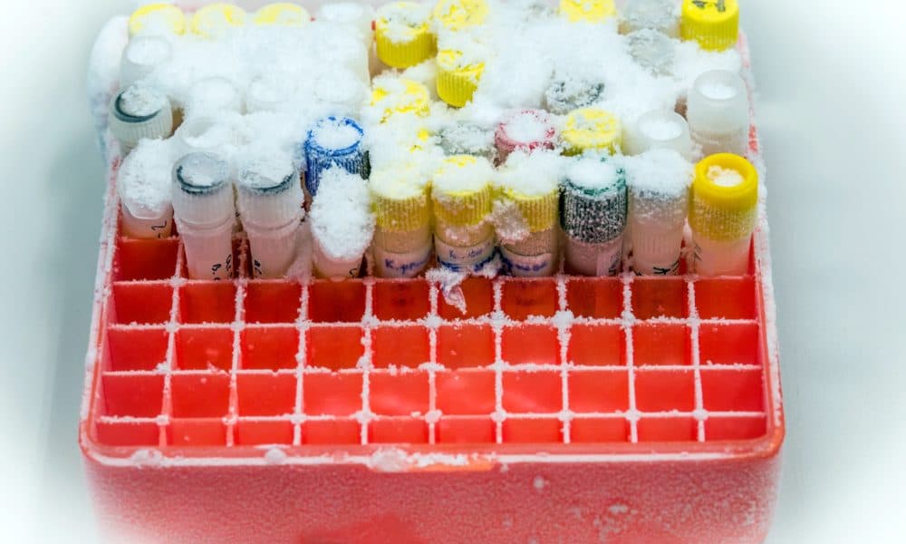 A giant leap forward in fridge-free vaccine progress?