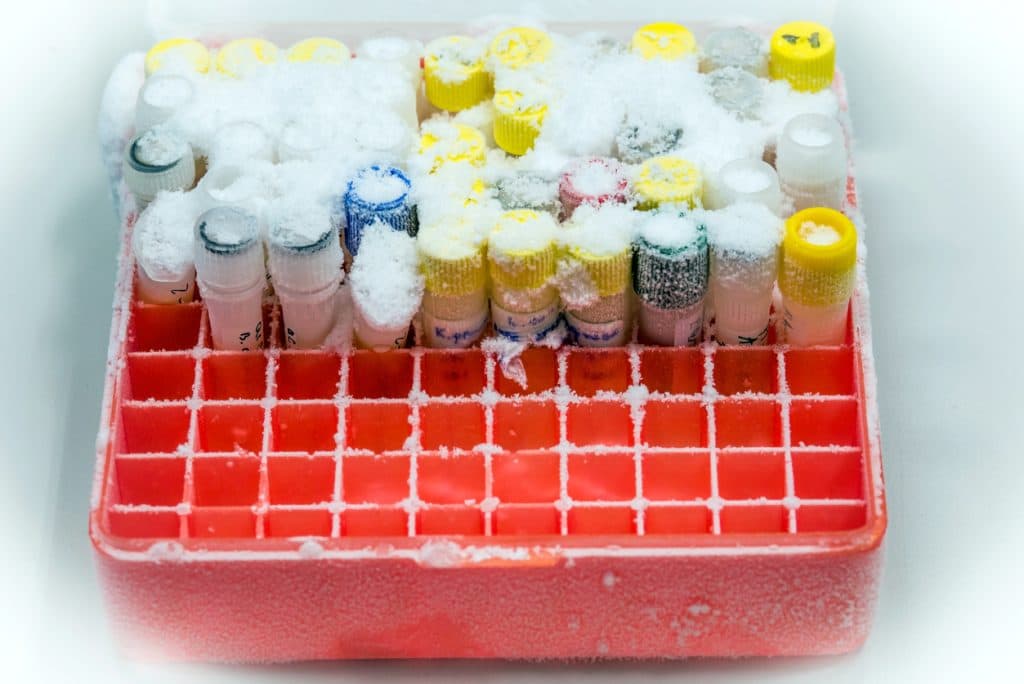 Fridge-free vaccines could revolutionise disease prevention in countries like Brazil and India.