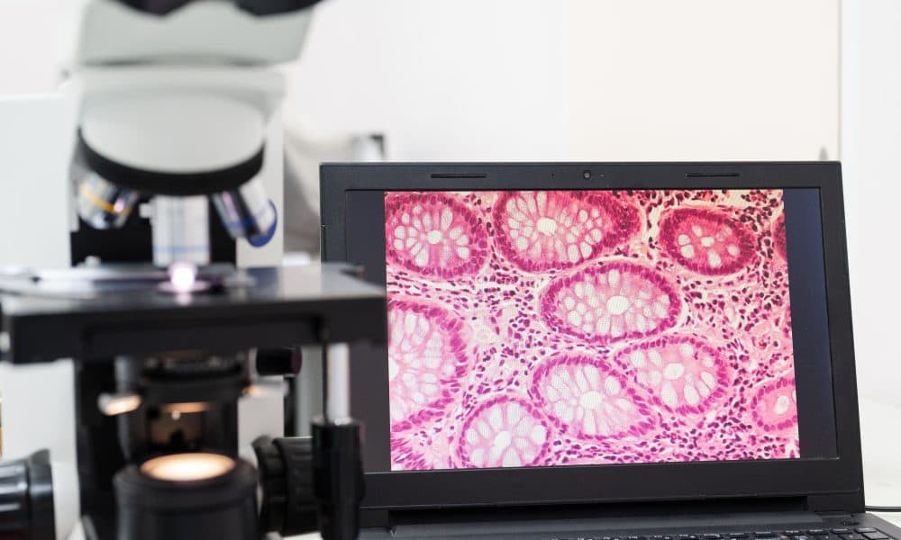 Developing AI to reach the real world