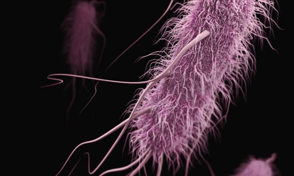 Antibiotic resistance outwitted by supercomputers