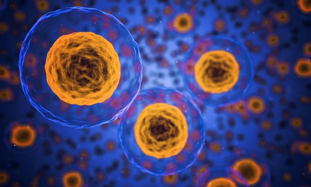 Barcoding cells could lead to quicker disease diagnosis