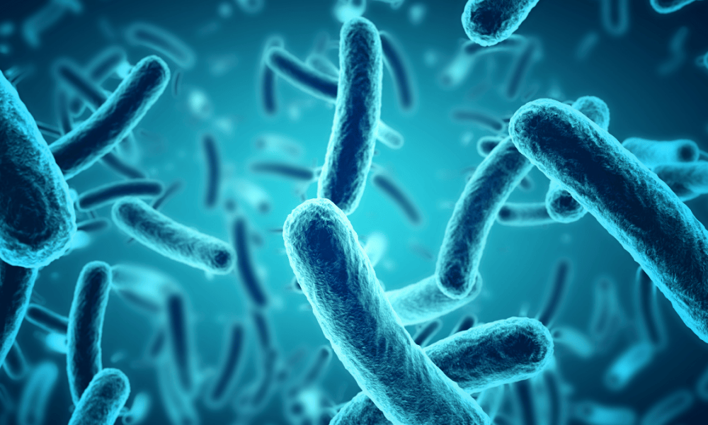 Untitled design (2) New machine learning approach can predict risk of antibiotic resistance