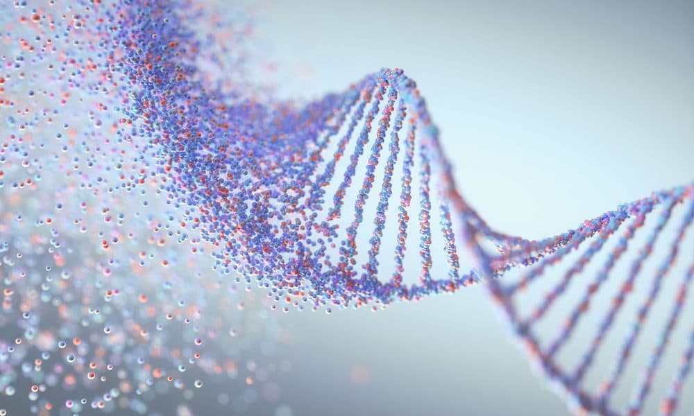 Genflow grant to step up ageing innovations