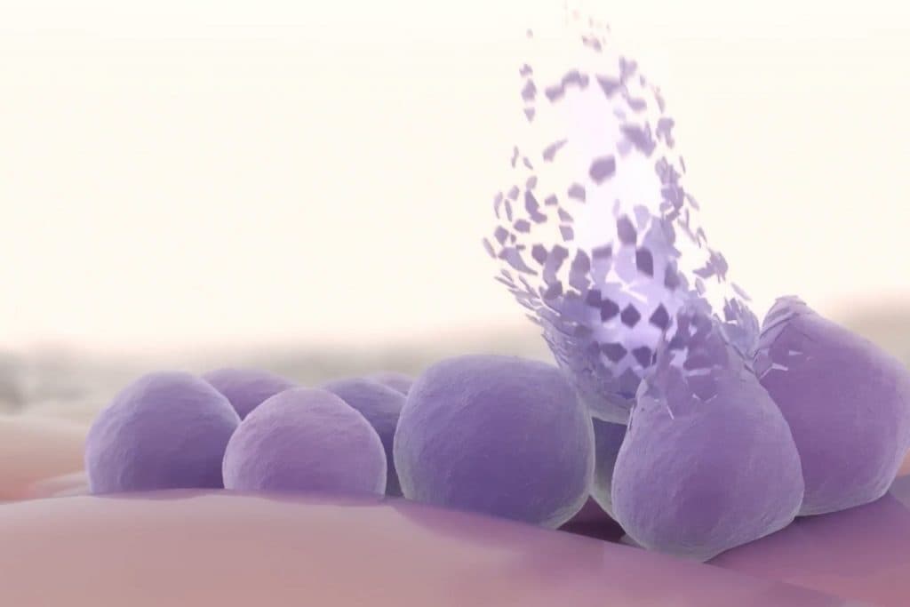 Enzyme eliminates Staphylococcus aureus without triggering resistance