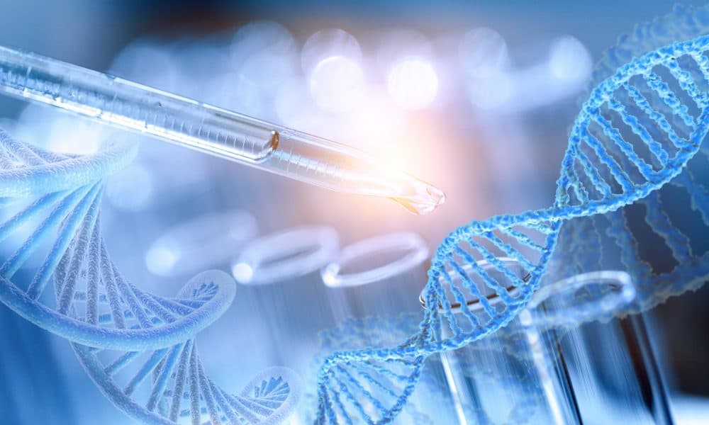 Genflow to collaborate with Organips on Werner Syndrome research