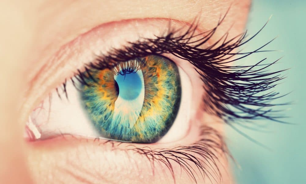Retinal cell map may lead to blinding disease therapies