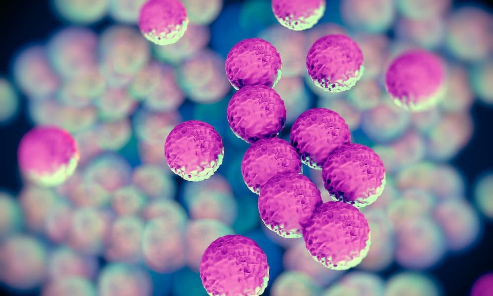 Synthetic antibiotic may help fight against drug-resistant bacteria