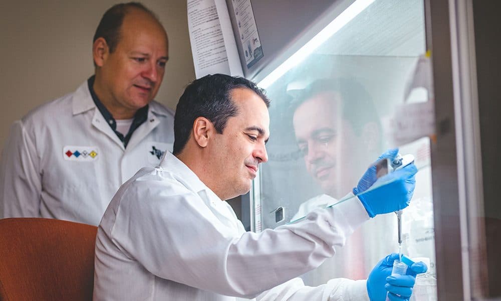 New technology protects authenticity of engineered cell lines