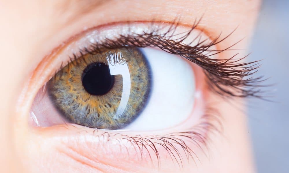 ‘Simple, effective’ cell technology helps to treat corneal blindness