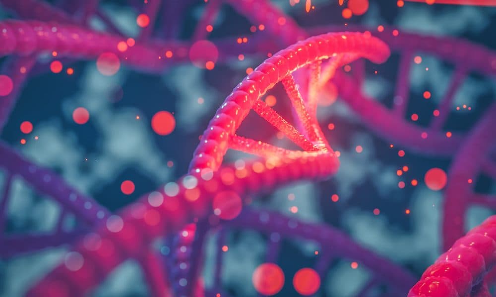 DNA nanotech safe for medical use, study suggests