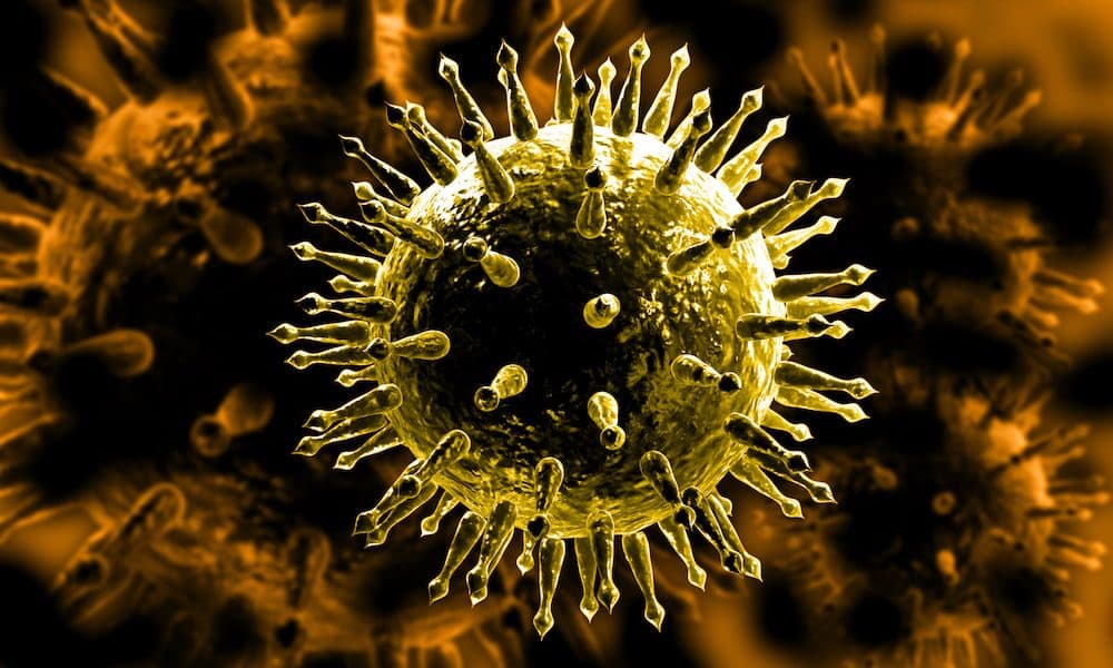 Fluorogenic probe lights up when flu virus is present