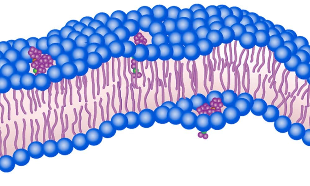Visible light triggers molecular machines to treat infections