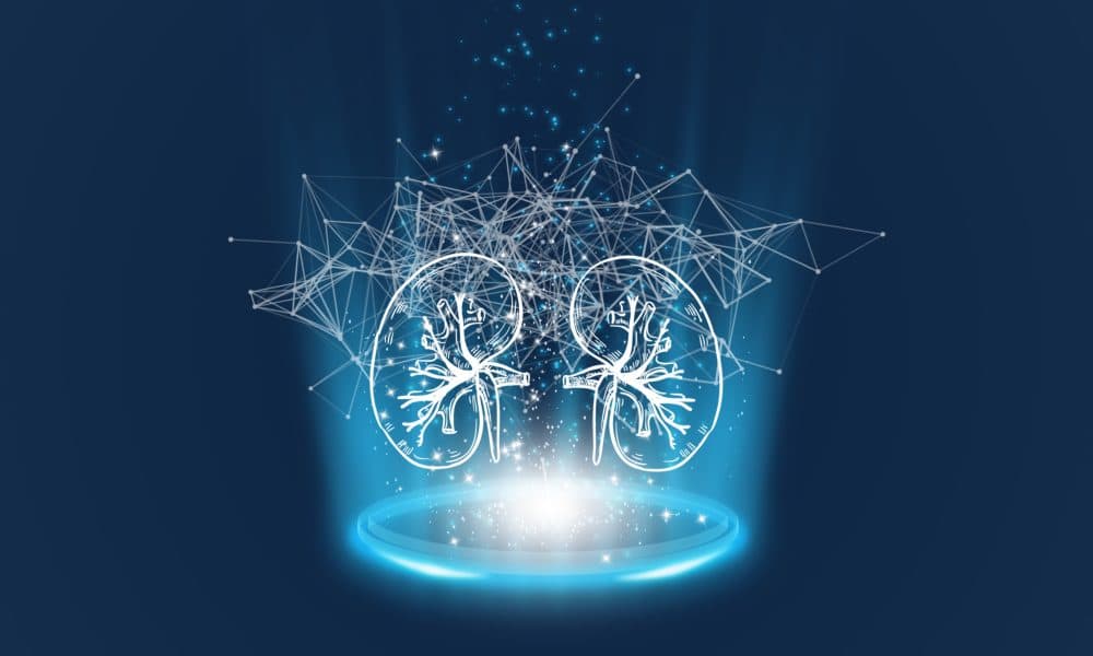 How AI could transform kidney transplant outcomes