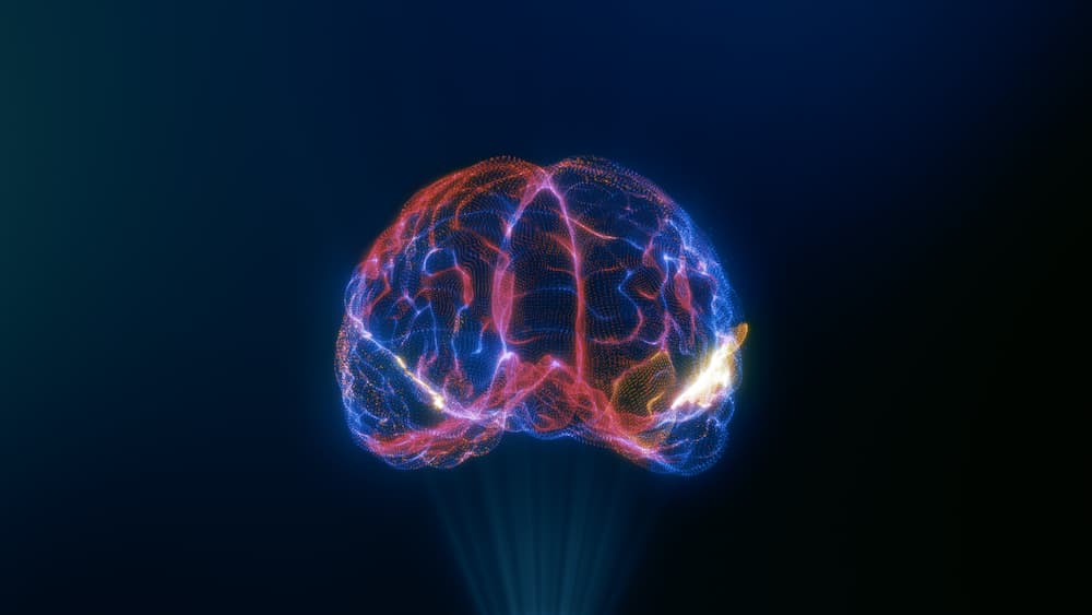 BRIAN: The groundbreaking brain tumour app