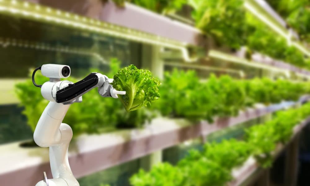 What role can AI play in the global diet crisis?