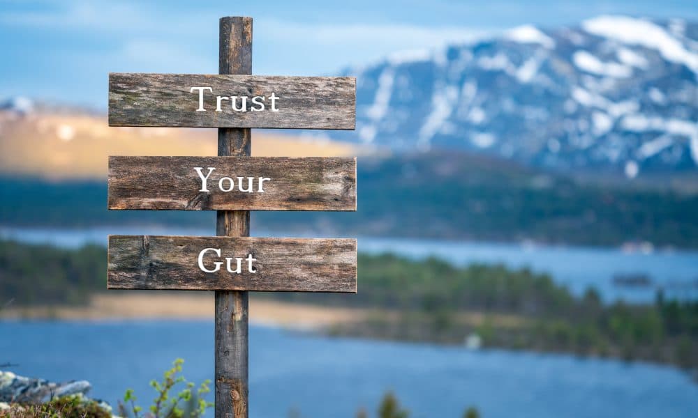 Go with your gut: How to make fewer (expensive) mistakes