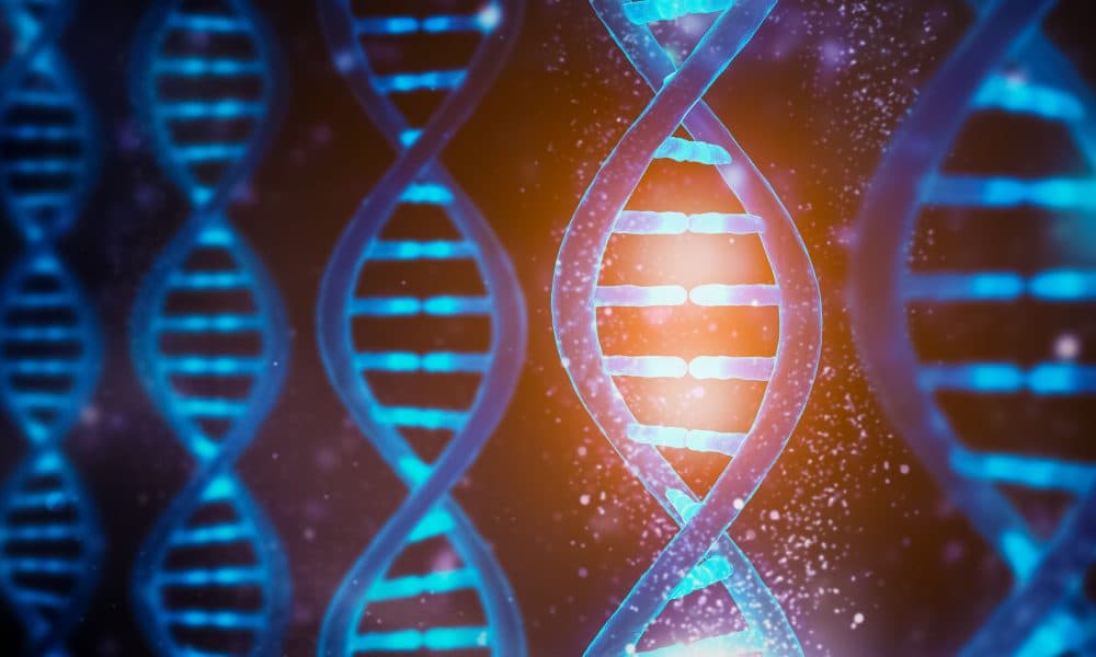 Genflow wins €250,000 grant for longevity research