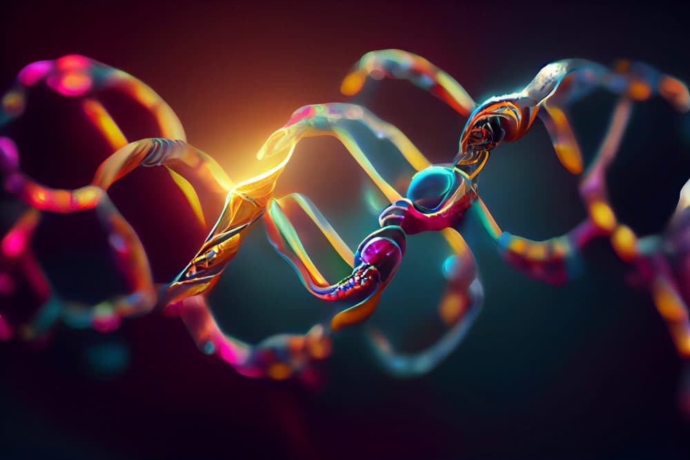Genome