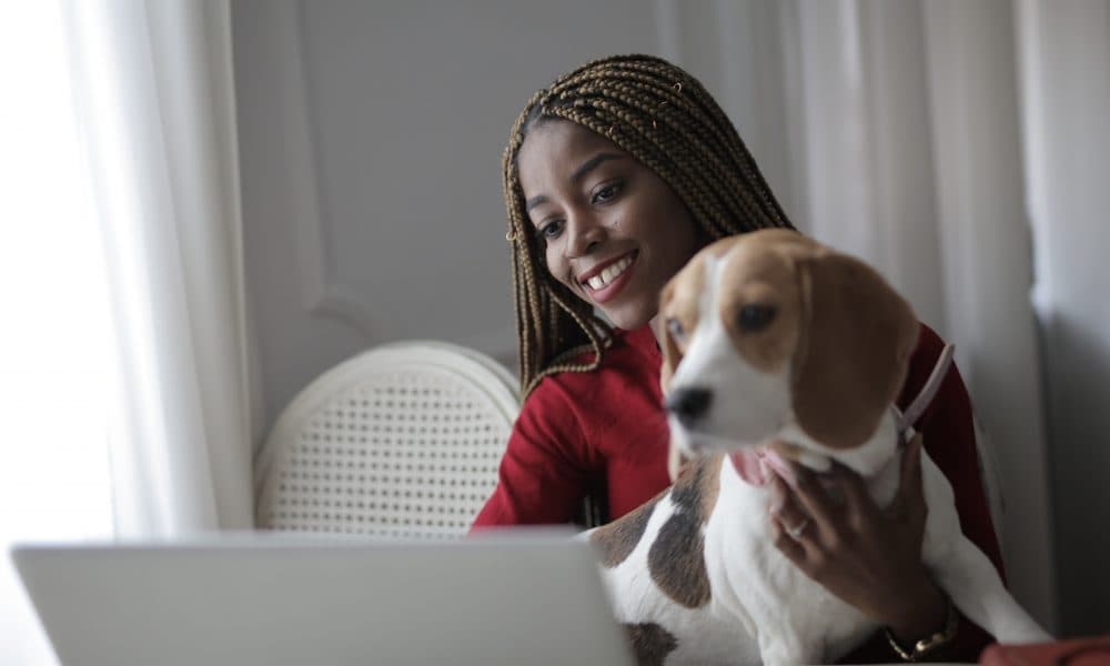 Digital vet appointments a “pawsible” solution 