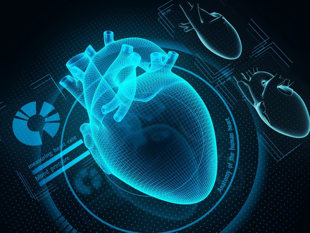 Heart