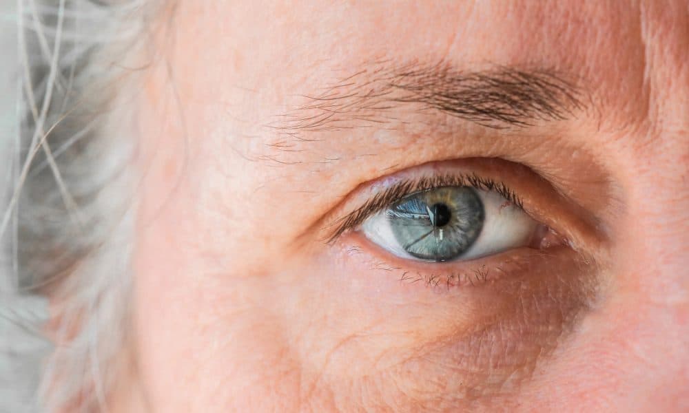 New form of omega-3 could prevent Alzheimer’s visual decline