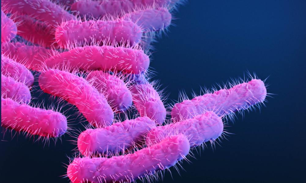 HIC to launch antimicrobial resistance programme at Global Health Exhibition