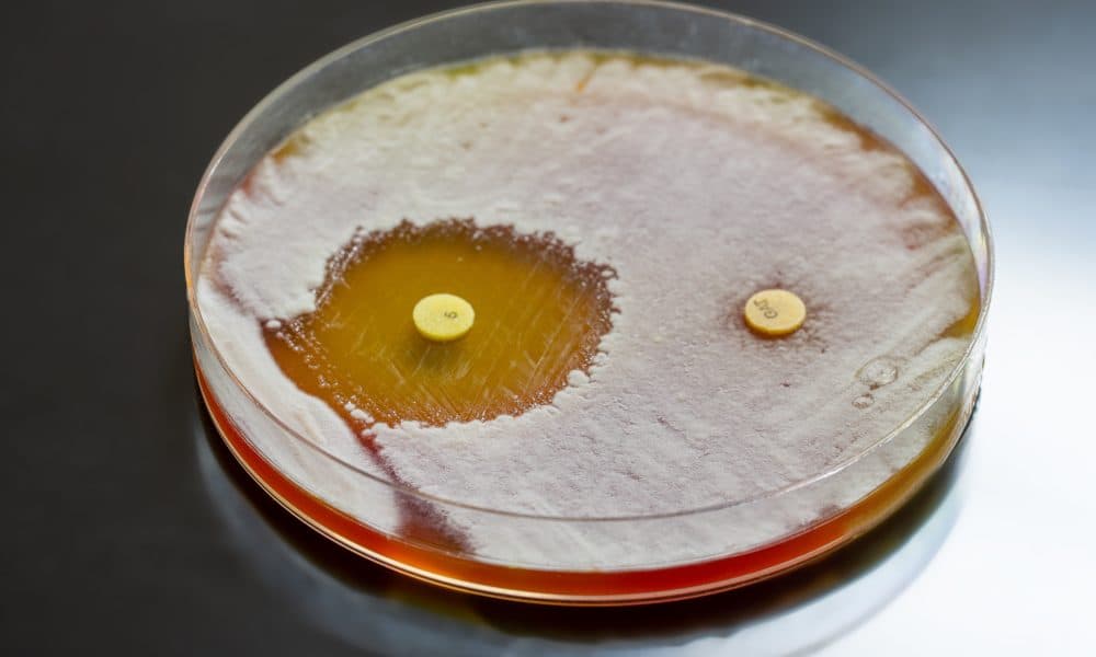 Photodisinfectant: can light curb the antimicrobial resistance crisis? 