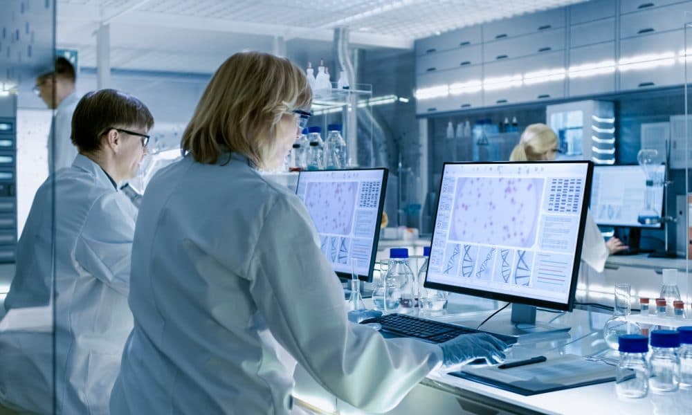 Female and Male Scientists Working on their Computers In Big Mod UK AI project aims to make international health data sharing easier