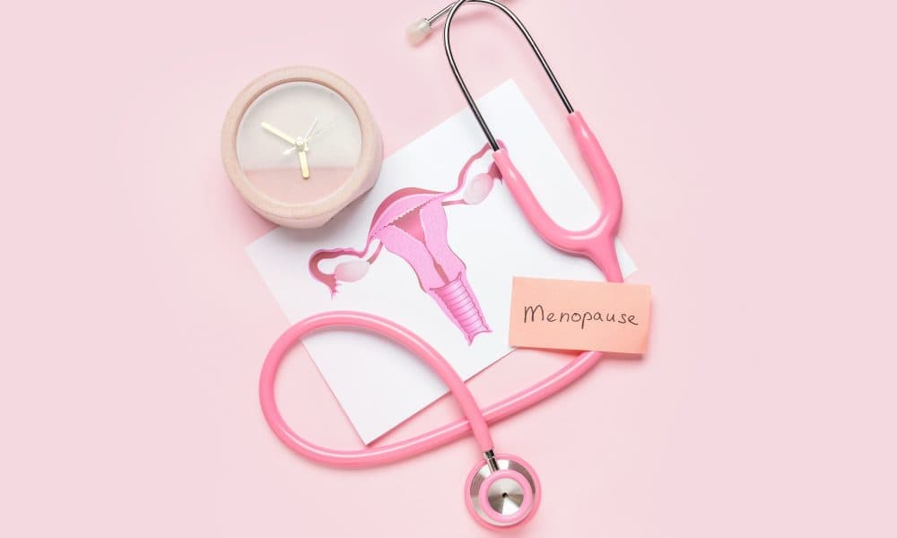 A brief overview of innovation within the menopause space