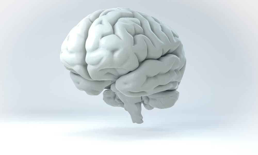 3D Human Brain Isolated Illustration. Science Anatomy Background. 3D-printed human brain tissue could advance Alzheimer’s research