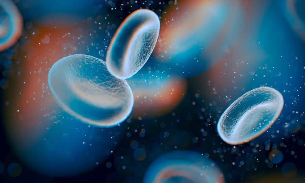 Tackling skin pigmentation bias in pulse oximeters