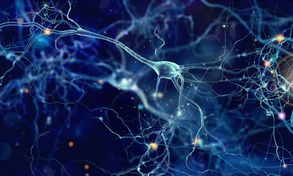 Neurons cells concept Brain connectivity on MRI predicts Parkinson’s disease progression