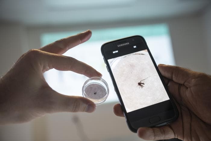 Low-Res_Using AI to ID mosquitos-03 AI deployed to help combat malaria in Africa