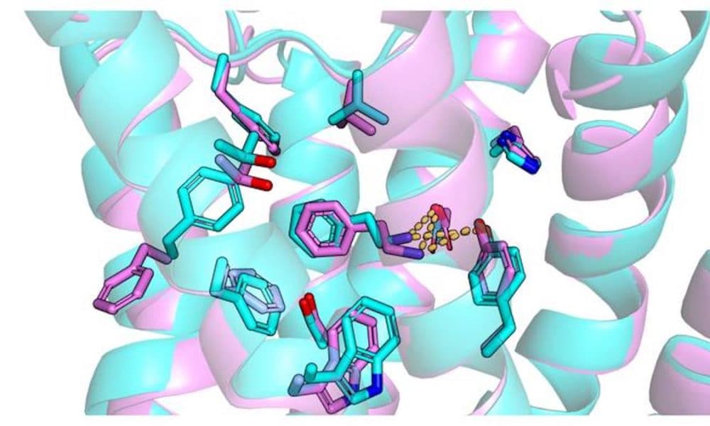 AI can speed up development of potential new drugs, finds study