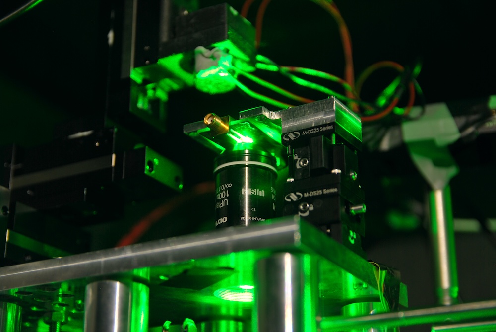 Scientists to ‘spy’ on cancer- immune cell interactions using quantum tech